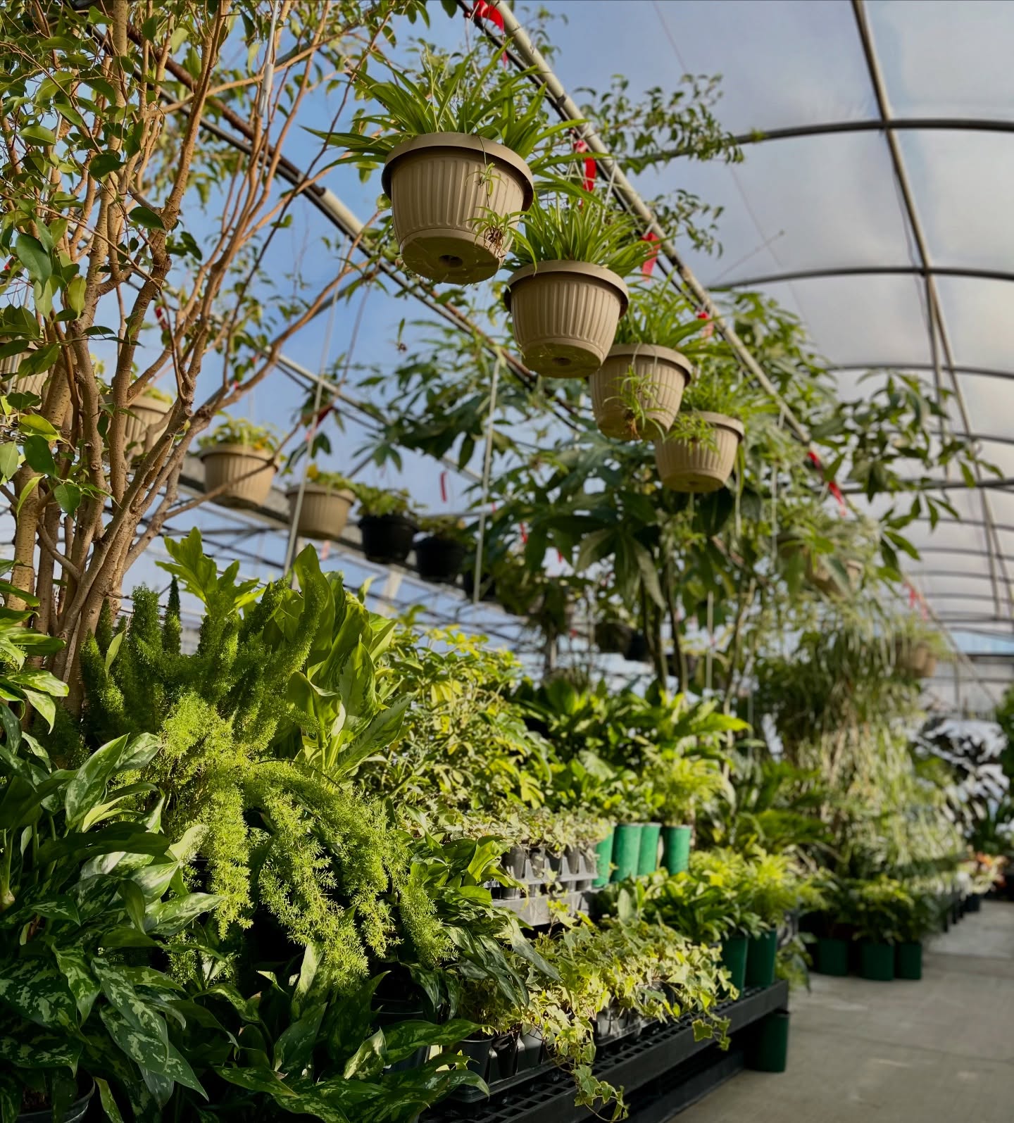 Blooming Acres Greenhouse & Garden Center
